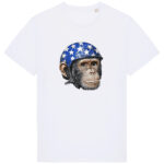 Originals Helmet Stars Chimp